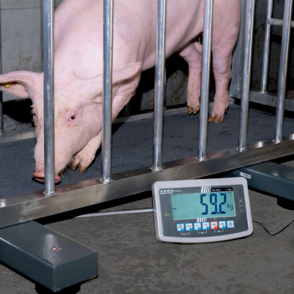 Grindinės svarstyklės KERN UFA 1.5T0.5