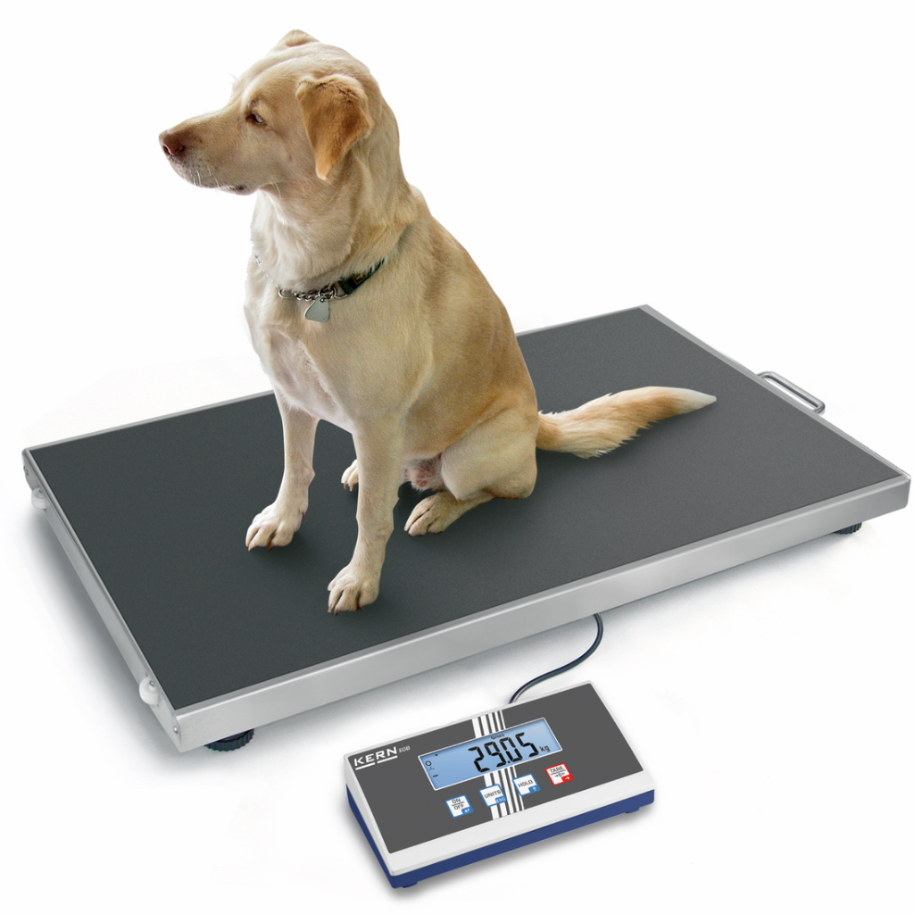 Platforminės svarstyklės KERN EOS