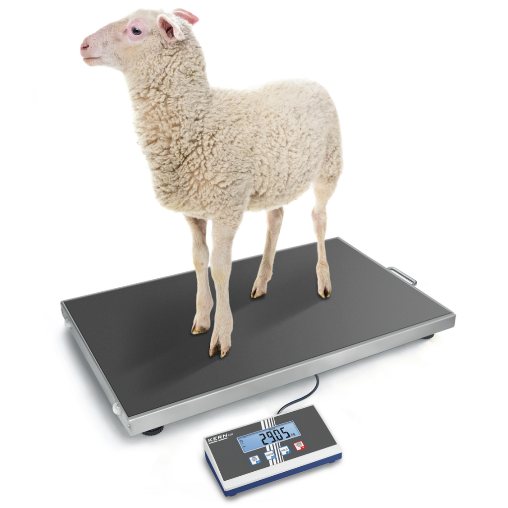 Platforminės svarstyklės KERN EOS