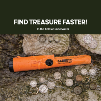 Rankinis metalo detektorius Garrett Pro-Pointer AT