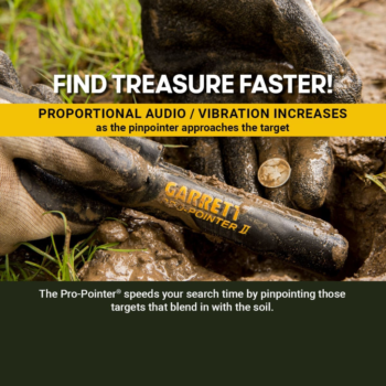 Rankinis metalo detektorius Garrett Pro-Pointer II