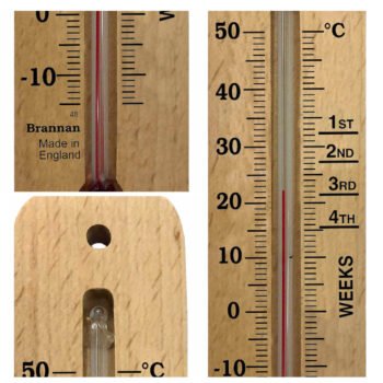 Medinis inkubatoriaus termometras Brannan 150 mm