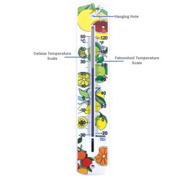 Didelis sieninis termometras Brannan 380 mm su citrusų motyvu