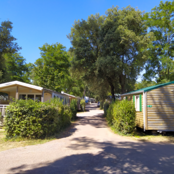 Karavanų drėgmės patikra