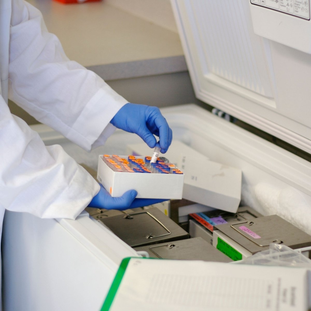 HAM ThermoSensePT naudojimas laboratoriniam ultražemos temperatūros šaldikliui